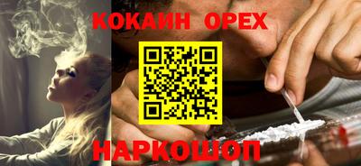 прущие грибы Будённовск