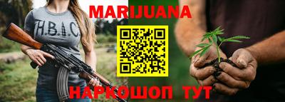 прущие грибы Будённовск