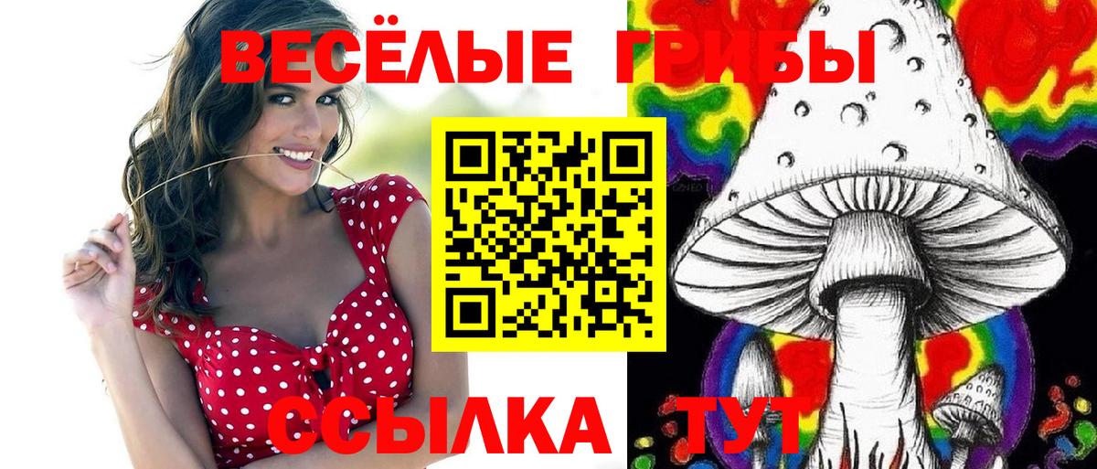 Псилоцибиновые грибы GOLDEN TEACHER  Псилоцибиновые грибы ЛСД  Вход с VPN  Минусинск 
